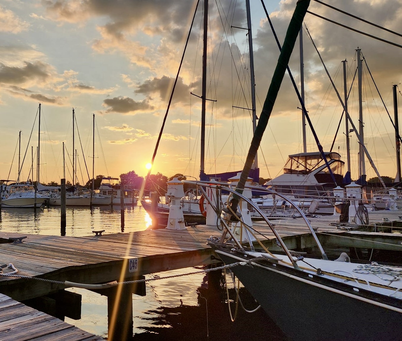 Marina yard