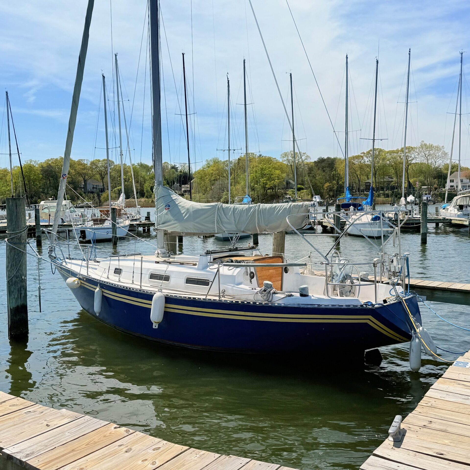 Fishing Charters